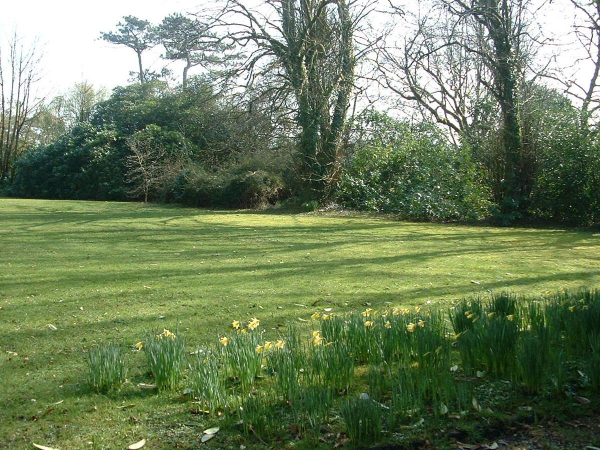 Oak Lodge Llanteg Zewnętrze zdjęcie